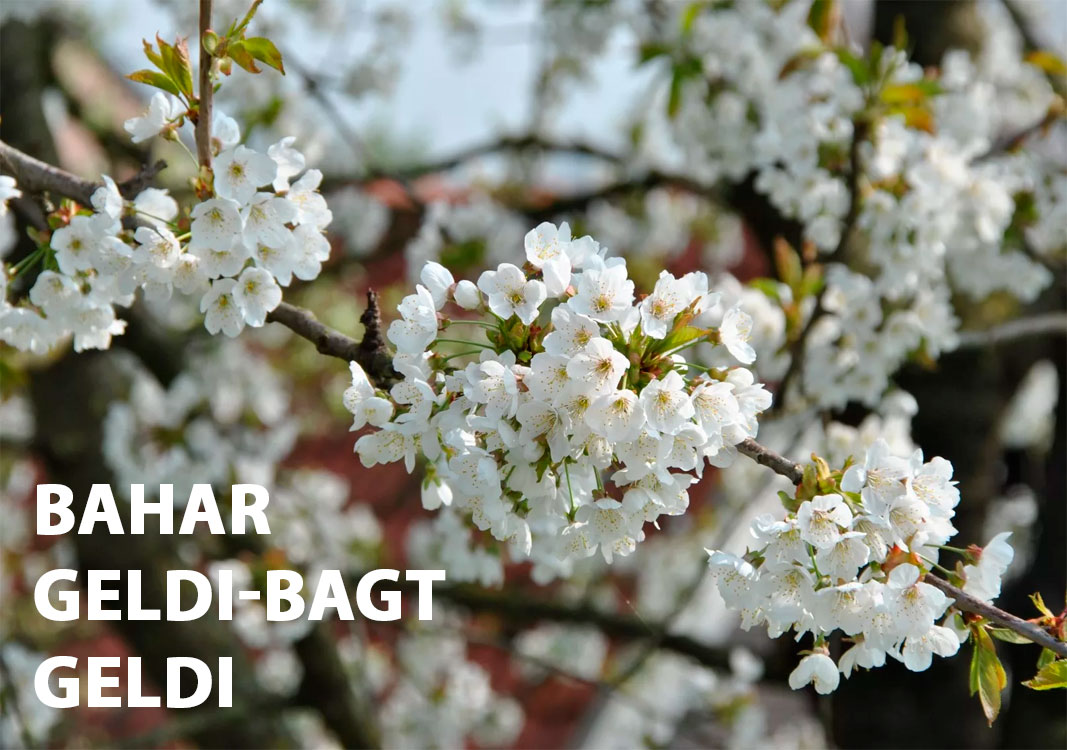 Bahar geldi-bagt geldi